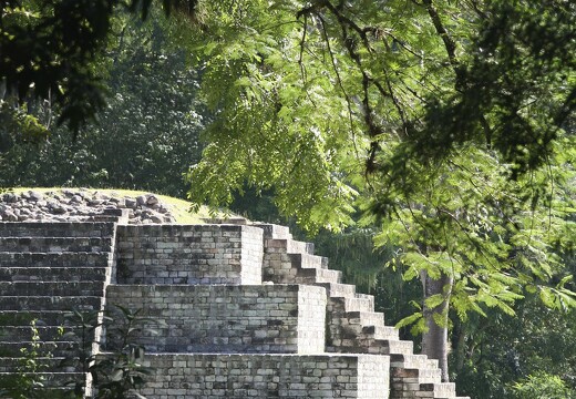 Site Maya
