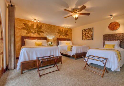 Hotel Buena Vista Chic_3 bed junio suite 11