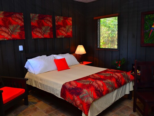 Buena Vista Lodge_chambre Montaña1.jpg