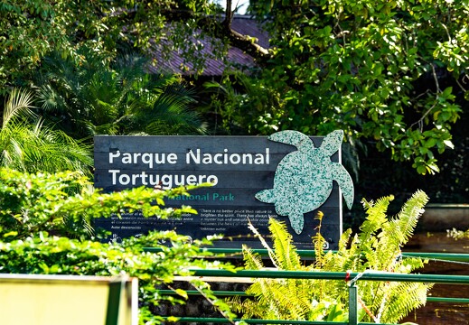 Tortuga Lodge_guided_natural_history_boat_excursion at_tortuguero_national_park_1