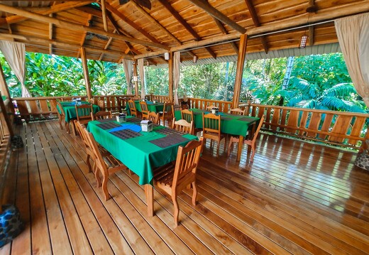 Restaurante Aracari - bosque-  La Cusinga Lodge