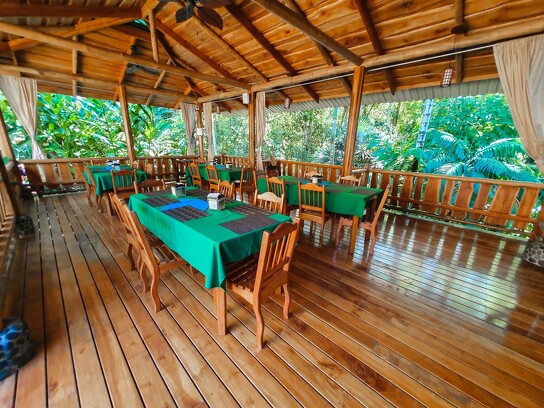 Restaurante Aracari - bosque-  La Cusinga Lodge.jpg
