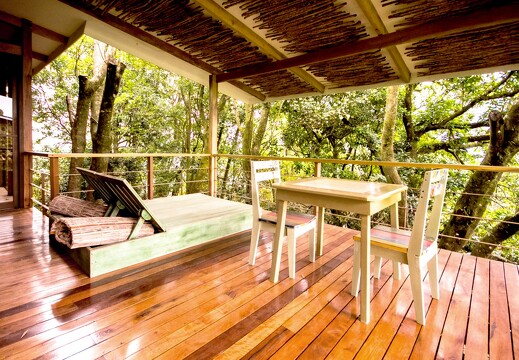 Chayote Lodge_Forest Suite7