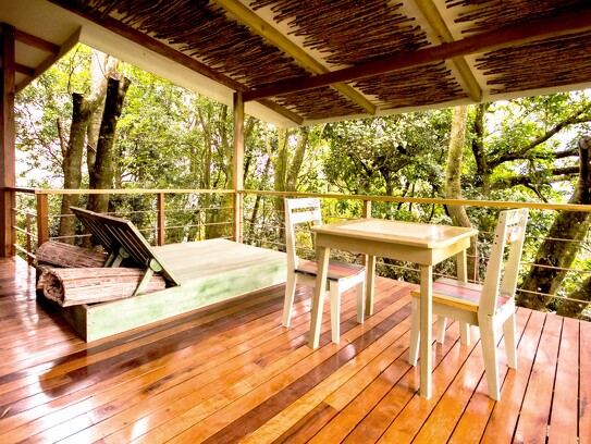 Chayote Lodge_Forest Suite7