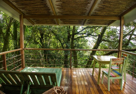 Chayote Lodge_Forest Suite10
