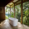 Chayote Lodge_Forest Suite16