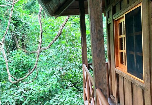 Maquenque Ecolodge_Tarzan Tree House_2