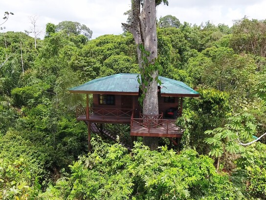 Maquenque Ecolodge_Lapa Verde Tree House_12.png