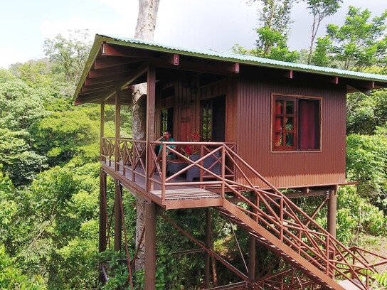 Maquenque Ecolodge_Oropendula y Manakin Tree House_4.png
