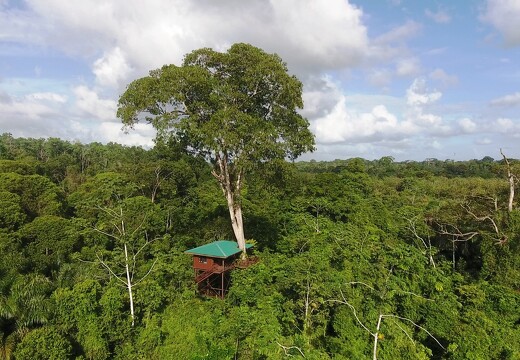 Maquenque Ecolodge_Tree Houses2