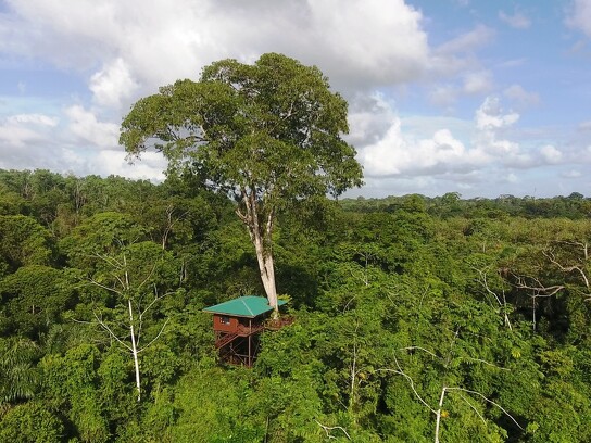 Maquenque Ecolodge_Tree Houses2.png