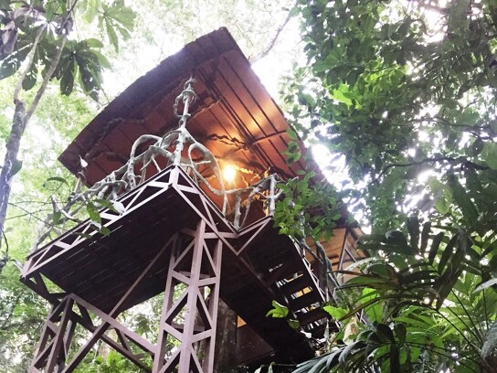 Maquenque Ecolodge_Tree House_1