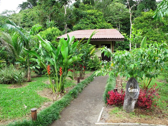Maquenque Ecolodge5.jpg