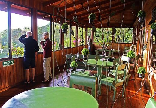 Monteverde Cloudforest Lodge_10
