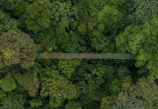 Ponts suspendus au Costa Rica1