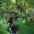 Lodge de rivière au Costa Rica_10