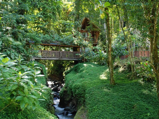 Lodge de rivière au Costa Rica_10.JPG