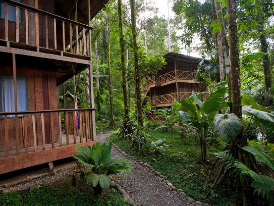 Lodge de rivière au Costa Rica_14.jpg