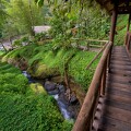 Lodge de rivière au Costa Rica_16