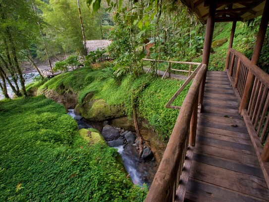 Lodge de rivière au Costa Rica_16.jpg