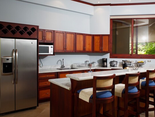 BDM - Penthouse kitchen1.jpg