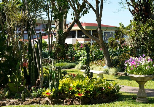 Bougainvillea Hotel 2