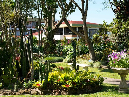 Bougainvillea Hotel 2.jpg