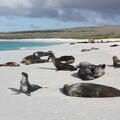 Voyages guidés aux Galapagos 21