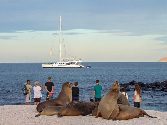 Voyages guidés aux Galapagos 31.jpg
