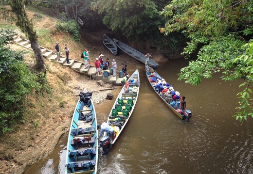 Amazonie équatorienne 1