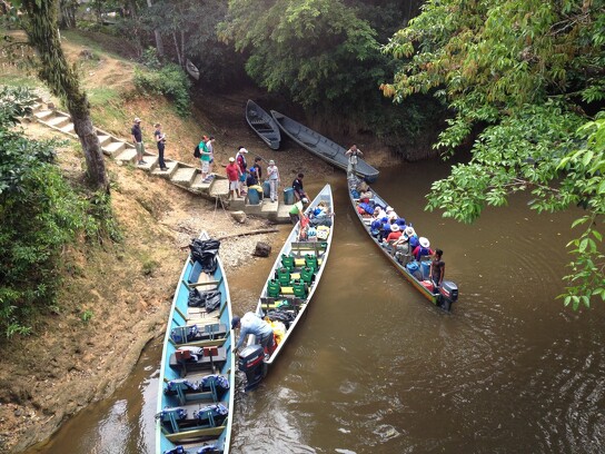 Amazonie équatorienne 1.JPG
