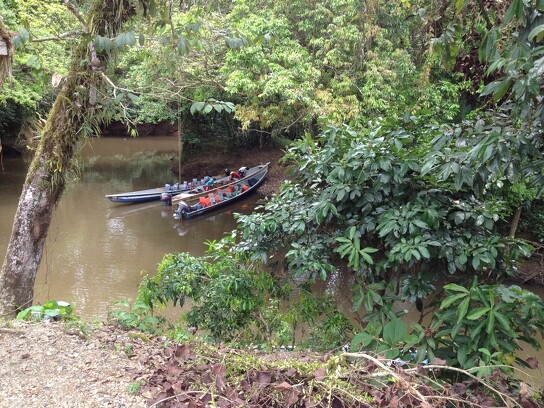 Amazonie équatorienne 2.JPG