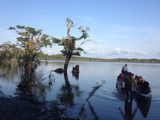 Amazonie équatorienne 3.JPG