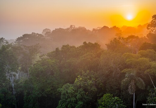 Amazonie équatorienne 62