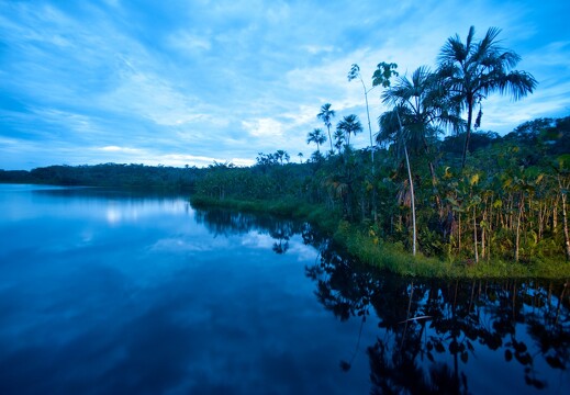 Amazonie équatorienne 67