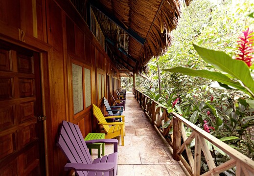 Jungle Lodge_Exploration rooms 4
