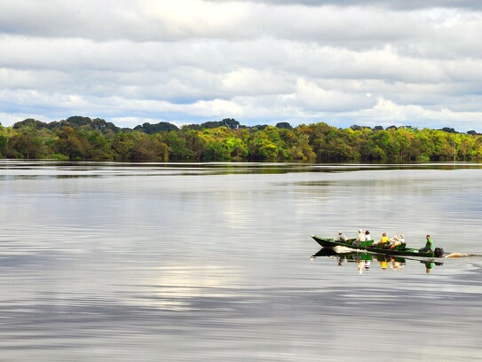 Amazonie brésilienne 3.tif