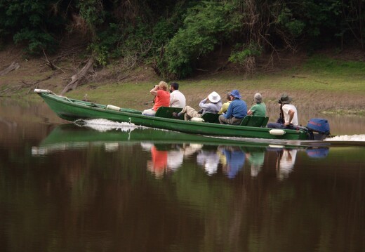 Amazonie brésilienne 34