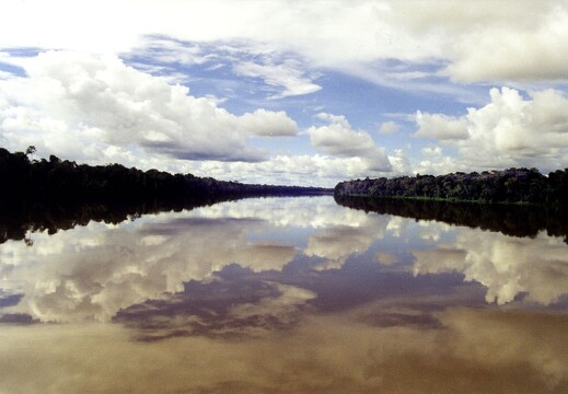 Amazonie brésilienne 46
