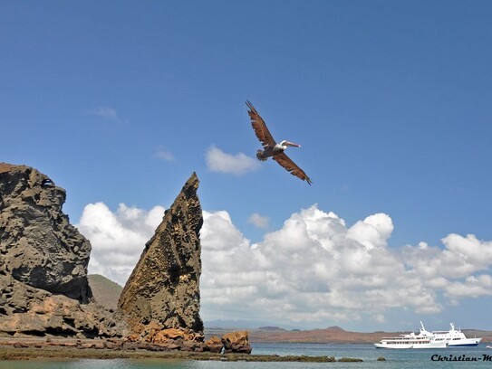 Voyage aux Galapagos 171.jpg