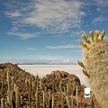 Desert en Bolivie 9