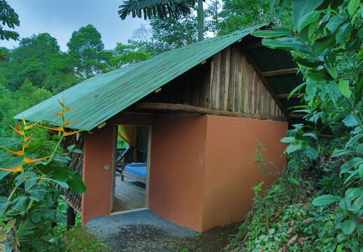 La Tigra Rainforest Lodge 5