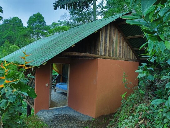 La Tigra Rainforest Lodge 5
