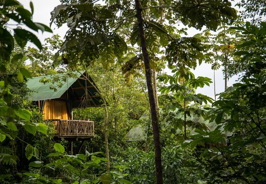 La Tigra Rainforest Lodge 15