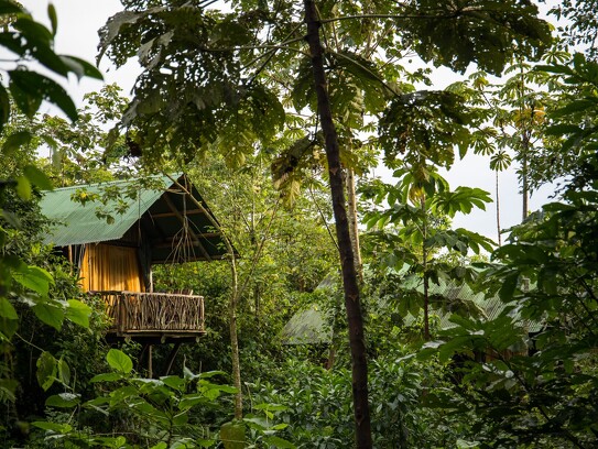 La Tigra Rainforest Lodge 15