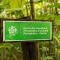 La Tigra Rainforest Lodge 16