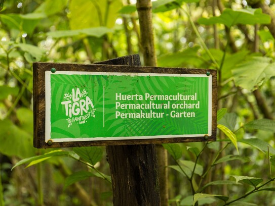 La Tigra Rainforest Lodge 16.jpg