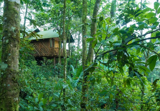 La Tigra Rainforest Lodge 18