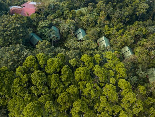 La Tigra Rainforest Lodge 17