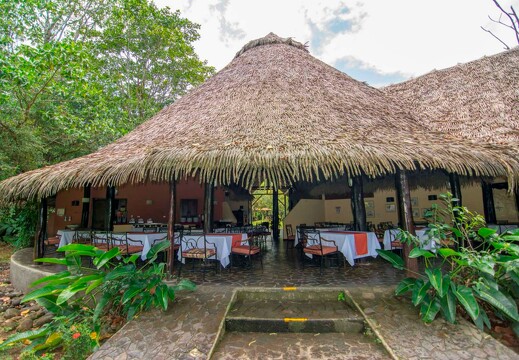Sarapiquí's Rainforest Lodge 14